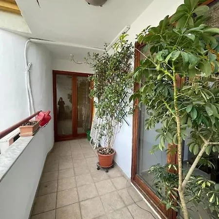 Dajti View 地拉那